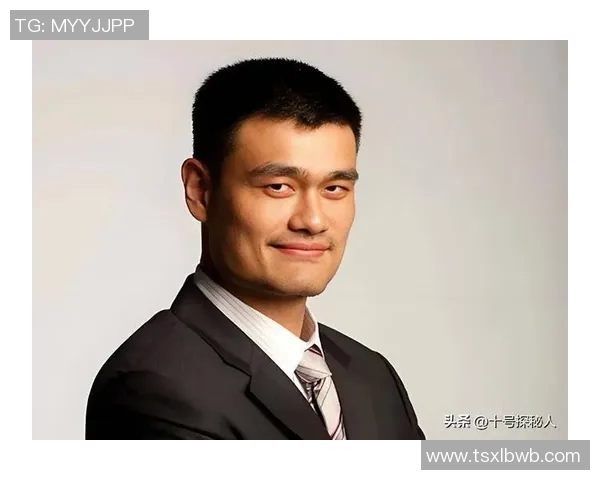 姚明动漫头的魅力探秘与文化影响力分析