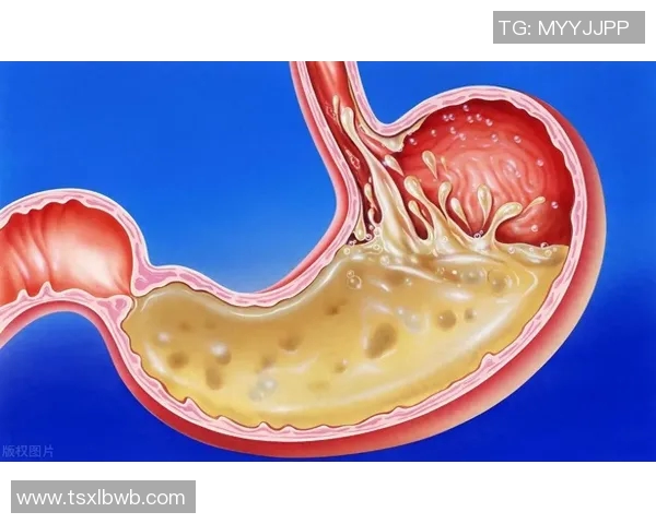 篮球明星内脏揭秘：他们的饮食与健康如何影响赛场表现与职业生涯